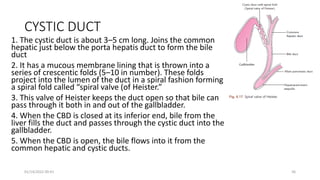 CYSTIC DUCT
1. The cystic duct is about 3–5 cm long. Joins the common
hepatic just below the porta hepatis duct to form the bile
duct
2. It has a mucous membrane lining that is thrown into a
series of crescentic folds (5–10 in number). These folds
project into the lumen of the duct in a spiral fashion forming
a spiral fold called “spiral valve (of Heister.”
3. This valve of Heister keeps the duct open so that bile can
pass through it both in and out of the gallbladder.
4. When the CBD is closed at its inferior end, bile from the
liver fills the duct and passes through the cystic duct into the
gallbladder.
5. When the CBD is open, the bile flows into it from the
common hepatic and cystic ducts.
01/14/2022 09:41 36
 