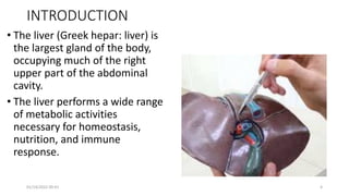 INTRODUCTION
• The liver (Greek hepar: liver) is
the largest gland of the body,
occupying much of the right
upper part of the abdominal
cavity.
• The liver performs a wide range
of metabolic activities
necessary for homeostasis,
nutrition, and immune
response.
01/14/2022 09:41 4
 