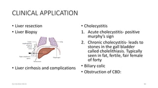 CLINICAL APPLICATION
• Liver resection
• Liver Biopsy
• Liver cirrhosis and complications
• Cholecystitis
1. Acute cholecystitis- positive
murphy’s sign
2. Chronic cholecystitis- leads to
stones in the gall bladder
called cholelithiasis. Typically
seen in fat, fertile, fair female
of forty
• Biliary colic
• Obstruction of CBD:
01/14/2022 09:41 40
 