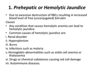 1. Prehepatic or Hemolytic Jaundice
• Due to excessive destruction of RBCs resulting in increased
blood level of free (unconjugated) bilirubin
Causes
• Any condition that causes hemolytic anemia can lead to
hemolytic jaundice.
• Common causes of hemolytic jaundice are:
i. Renal disorder
ii. Hypersplenism
iii. Burns
iv. Infections such as malaria
v. Hemoglobin abnormalities such as sickle cell anemia or
thalassemia
vi. Drugs or chemical substances causing red cell damage
vii. Autoimmune diseases.
 