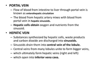 • PORTAL VEIN
– Flow of blood from intestine to liver through portal vein is
known as enterohepatic circulation
– The blood from hepatic artery mixes with blood from
portal vein in hepatic sinusoids.
– Hepatic cells obtain oxygen and nutrients from the
sinusoid.
• HEPATIC VEIN
– Substances synthesized by hepatic cells, waste products
and carbon dioxide are discharged into sinusoids.
– Sinusoids drain them into central vein of the lobule.
– Central veins from many lobules unite to form bigger veins,
– which ultimately form hepatic veins (right and left)
– which open into inferior vena cava.
 