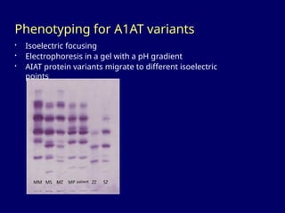 Liver and GI Disease Clinical Pathology Study Questions_Mari-Alina ...