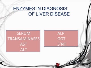 ENZYMES IN DIAGNOSIS
OF LIVER DISEASE
SERUM
TRANSAMINASES
AST
ALT
ALP
GGT
5’NT
 