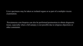 Liver specimens may be taken as isolated organs or as part of a multiple-viscera
examination.
Percutaneous core biopsies can also be performed postmortem to obtain diagnostic
tissue, especially when a full autopsy is not possible due to religious objections or
other constraints.
 