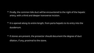 • Finally, the common bile duct will be encountered to the right of the hepatic
artery, with a third and deeper transverse incision.
• It is opened along its entire length, from porta hepatis to its entry into the
duodenum.
• If stones are present, the prosector should document the degree of duct
dilation, if any, proximal to the stone.
 