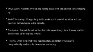 • Orientation: Place the liver on the cutting board with the anterior surface facing
up.
• Serial Sectioning: Using a long knife, make serial parallel incisions at 1 cm
intervals perpendicular to the capsule.
• Evaluation: Inspect the cut surface for color consistency, focal lesions, and the
architecture of the hepatic lobules.
• Vessels: Open the portal vein, hepatic artery, and inferior vena cava
longitudinally to check for thrombi or narrowing.
 