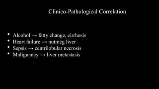 Clinico-Pathological Correlation
• Alcohol → fatty change, cirrhosis
• Heart failure → nutmeg liver
• Sepsis → centrilobular necrosis
• Malignancy → liver metastasis
 