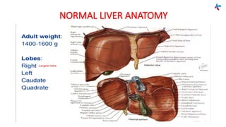 Fundamentals of LIVER pathology [Autosaved].pptx