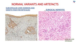 Fundamentals of LIVER pathology [Autosaved].pptx