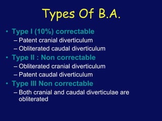 Types Of B.A.
• Type I (10%) correctable
– Patent cranial diverticulum
– Obliterated caudal diverticulum
• Type II : Non correctable
– Obliterated cranial diverticulum
– Patent caudal diverticulum
• Type III Non correctable
– Both cranial and caudal diverticulae are
obliterated
 