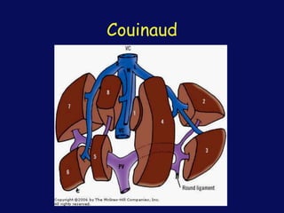 Couinaud
 