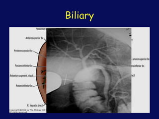 Biliary
 
