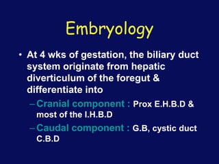 Embryology
• At 4 wks of gestation, the biliary duct
system originate from hepatic
diverticulum of the foregut &
differentiate into
–Cranial component : Prox E.H.B.D &
most of the I.H.B.D
–Caudal component : G.B, cystic duct
C.B.D
 