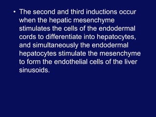 • The second and third inductions occur
when the hepatic mesenchyme
stimulates the cells of the endodermal
cords to differentiate into hepatocytes,
and simultaneously the endodermal
hepatocytes stimulate the mesenchyme
to form the endothelial cells of the liver
sinusoids.
 