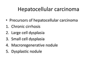 Hepatocellular carcinoma
• Precursors of hepatocellular carcinoma
1. Chronic cirrhosis
2. Large cell dysplasia
3. Small cell dysplasia
4. Macroregenerative nodule
5. Dysplastic nodule
 