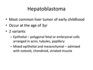 Hepatoblastoma
• Most common liver tumor of early childhood
• Occur at the age of 3yr
• 2 variants
– Epithelial – polygonal fetal or embryonal cells
arranged in acini, tubules, papillary
– Mixed epithelial and mesenchymal – admixed
with osteoid, chondroid, striated muscle
 