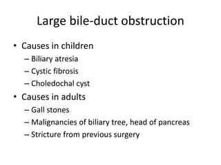 Large bile-duct obstruction
• Causes in children
– Biliary atresia
– Cystic fibrosis
– Choledochal cyst
• Causes in adults
– Gall stones
– Malignancies of biliary tree, head of pancreas
– Stricture from previous surgery
 