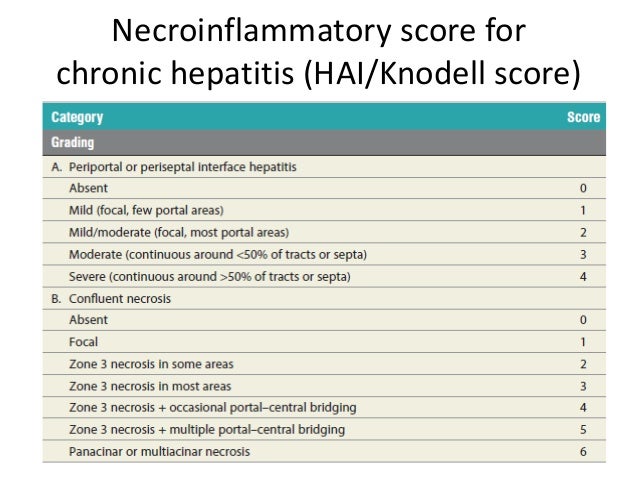 Featured image of post Recipe of Knodell Score Liver Biopsy