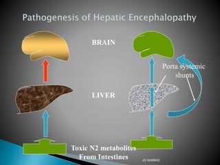 BRAIN
LIVER
Toxic N2 metabolites
From Intestines
Porta systemic
shunts
JG SAMBAD
 