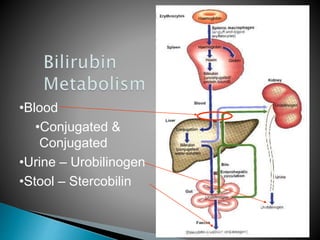 •Blood
•Conjugated &
Conjugated
•Urine – Urobilinogen
•Stool – Stercobilin
JG SAMBAD
 