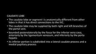 CAUDATE LOBE
• The caudate lobe or segment I is anatomically different from other
lobes in that it has direct connections to the IVC.
• The caudate lobe may be supplied by both right and left branches of
the portal vein.
• bounded posterolaterally by the fossa for the inferior vena cava,
anteriorly by the ligamentum venosum, and inferiorly by the porta
hepatis
• its inferior portion is subdivided into a lateral caudate process and a
medial papillary process
 
