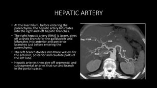 HEPATIC ARTERY
• At the liver hilum, before entering the
parenchyma, the hepatic artery bifurcates
into the right and left hepatic branches.
• The right hepatic artery (RHA) is larger, gives
off a cystic branch for the gallbladder and
bifurcates into anterior and posterior
branches just before entering the
parenchyma.
• The left branch divides into three vessels for
the anterior, posterior and caudate parts of
the left lobe.
• Hepatic arteries then give off segmental and
subsegmental arteries that run and branch
in the portal spaces.
 