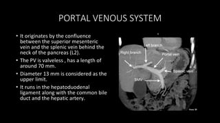 PORTAL VENOUS SYSTEM
• It originates by the confluence
between the superior mesenteric
vein and the splenic vein behind the
neck of the pancreas (L2).
• The PV is valveless , has a length of
around 70 mm.
• Diameter 13 mm is considered as the
upper limit.
• It runs in the hepatoduodenal
ligament along with the common bile
duct and the hepatic artery.
 