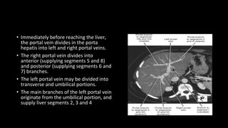 • Immediately before reaching the liver,
the portal vein divides in the porta
hepatis into left and right portal veins.
• The right portal vein divides into
anterior (supplying segments 5 and 8)
and posterior (supplying segments 6 and
7) branches.
• The left portal vein may be divided into
transverse and umbilical portions.
• The main branches of the left portal vein
originate from the umbilical portion, and
supply liver segments 2, 3 and 4
 