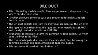 BILE DUCT
• Bile collected by the bile canaliculi converges towards the portal triad,
where bile ducts are seen.
• Smaller bile ducts converge with one another to form right and left
hepatic ducts.
• The left duct collects bile from the individual segments of the left liver
• The right has two tributaries, the right posterior hepatic duct (RPHD)
and the right anterior hepatic duct (RAHD)
• RHD and LHD converge to form the common hepatic duct (CHD) which
exits the liver at the hilum.
• The common hepatic duct receives the cystic duct, thus becoming the
common bile duct and opens into major duodenal papilla.
• Bile duct from S1 can drain into RHD or LHD
 
