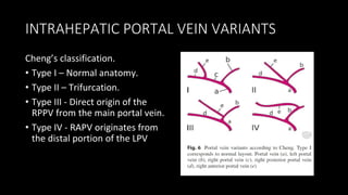 INTRAHEPATIC PORTAL VEIN VARIANTS
Cheng’s classification.
• Type I – Normal anatomy.
• Type II – Trifurcation.
• Type III - Direct origin of the
RPPV from the main portal vein.
• Type IV - RAPV originates from
the distal portion of the LPV
 