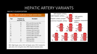 HEPATIC ARTERY VARIANTS
MICHEL’S CLASSIFICATION
 