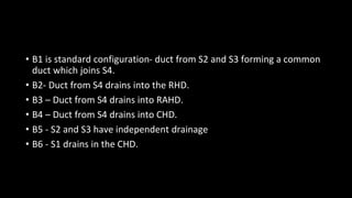• B1 is standard configuration- duct from S2 and S3 forming a common
duct which joins S4.
• B2- Duct from S4 drains into the RHD.
• B3 – Duct from S4 drains into RAHD.
• B4 – Duct from S4 drains into CHD.
• B5 - S2 and S3 have independent drainage
• B6 - S1 drains in the CHD.
 