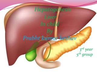 Hepatogenesis
Liver
In child
By
Prabht kumar keshav
3rd year
5th group
 