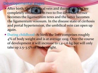 Developemental stages
 After birth, the umbilical vein and ductus venosus are
completely obliterated in two to five days; the former
becomes the ligamentum teres and the latter becomes
the ligamentum venosum. In the disease state of cirrhosis
and portal hypertension, the umbilical vein can open up
again.
 During childhood-At birth the liver comprises roughly
4% of body weight and is at average 120g. Over the course
of development it will increase to 1,4–1,6 kg but will only
take up 2.5–3.5% of body weight.
 