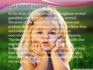Fetal blood supply
 In the fetus, the liver develops throughout normal
gestation, and does not perform the normal
filtration of the infant liver. The liver does not
perform digestive processes because the fetus does
not consume meals directly, but receives
nourishment from the mother via the placenta.
The fetal liver releases some blood stem cells that
migrate to the fetal thymus, so initially the
lymphocytes, called T-cells, are created from fetal
liver stem cells. Once the fetus is delivered, the
formation of blood stem cells in infants shifts to
the red bone marrow.
 