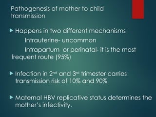 Pathogenesis of mother to child
transmission
 Happens in two different mechanisms
Intrauterine- uncommon
Intrapartum or perinatal- it is the most
frequent route (95%)
 Infection in 2nd
and 3rd
trimester carries
transmission risk of 10% and 90%
 Maternal HBV replicative status determines the
mother’s infectivity.
 