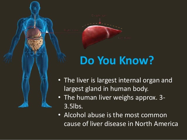 Common Liver problems