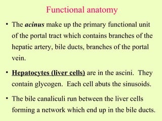 HEPATOLOGY | PPT
