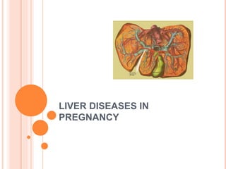 LIVER DISEASES IN
PREGNANCY
 