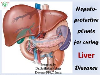 Hepatoprotective
plants
for curing

Liver
Presented by
Dr. Sudhakar Kokate
Director PPRC, India

Diseases

 