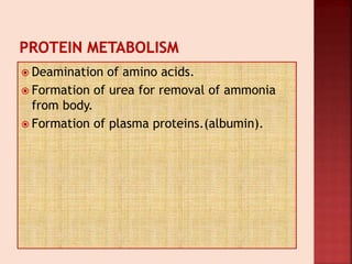  Deamination of amino acids.
 Formation of urea for removal of ammonia
from body.
 Formation of plasma proteins.(albumin).
 