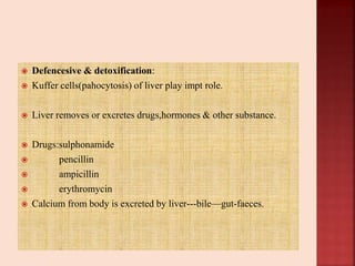  Defencesive & detoxification:
 Kuffer cells(pahocytosis) of liver play impt role.
 Liver removes or excretes drugs,hormones & other substance.
 Drugs:sulphonamide
 pencillin
 ampicillin
 erythromycin
 Calcium from body is excreted by liver---bile—gut-faeces.
 