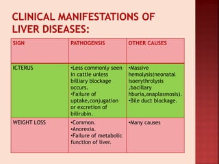 SIGN PATHOGENSIS OTHER CAUSES
ICTERUS •Less commonly seen
in cattle unless
billiary blockage
occurs.
•Failure of
uptake,conjugation
or excretion of
bilirubin.
•Massive
hemolysis(neonatal
isoerythrolysis
,bacillary
hburia,anaplasmosis).
•Bile duct blockage.
WEIGHT LOSS •Common.
•Anorexia.
•Failure of metabolic
function of liver.
•Many causes
 