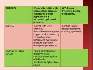 DIARRHEA •Especially cattle with
chronic liver disease.
•Related to portal
hypotension &
increased hydrostatic
pressure.
•GIT disease.
•Systemic disease.
•Septicemia.
ASCITES •Calves with liver
cirrhosis.
•hypoalbuminemia,porta
l hypertension caused by
venous blackade
&increased hydrostatic
pressure & protein
leakage to peritoneum.
•Cardiac failure.
•Hypoproteinemia.
•Cushing syndrome.
CHANGE IN FECAL
COLOR
•Young animalsimple
digestive tracts-
stercobilin-metabolite
of bilirubin.
•Cholestasis-lighter fecal
colour.
 