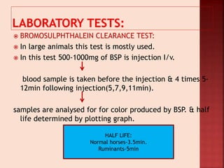  BROMOSULPHTHALEIN CLEARANCE TEST:
 In large animals this test is mostly used.
 In this test 500-1000mg of BSP is injection I/v.
blood sample is taken before the injection & 4 times 5-
12min following injection(5,7,9,11min).
samples are analysed for for color produced by BSP. & half
life determined by plotting graph.
HALF LIFE:
Normal horses-3.5min.
Ruminants-5min
 