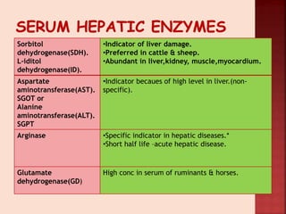 Sorbitol
dehydrogenase(SDH).
L-iditol
dehydrogenase(ID).
•Indicator of liver damage.
•Preferred in cattle & sheep.
•Abundant in liver,kidney, muscle,myocardium.
Aspartate
aminotransferase(AST).
SGOT or
Alanine
aminotransferase(ALT).
SGPT
•Indicator becaues of high level in liver.(non-
specific).
Arginase •Specific indicator in hepatic diseases.*
•Short half life –acute hepatic disease.
Glutamate
dehydrogenase(GD)
High conc in serum of ruminants & horses.
 