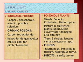  INORGANIC POISONS:
• Copper , phosphorous,
arsenic, possibly
selenium.
 ORGANIC POISONS:
• Carbon tetrachloride,
• hexachloride,gossypol,cr
esols & coal tar
pitch,chloroform.
 POISONOUS PLANTS:
• Weeds: Senecio,
Crotolaria , Heliotropium.
• Pasture & cultivated
plants:lupins,Alsike
clover,water damaged
alfa-alfa hay.
• Trees & shrubs: lantana
camara,myoporum spp.
 FUNGUS:
• fusarium sp, Penicillium
rubrum, Aspergillus flavus.
 INSECTS : sawfly larvae
 