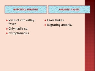 INFECTIOUS HEPATITIS PARASITIC CAUSES
 Virus of rift valley
fever.
 Chlymadia sp.
 histoplasmosis
 Liver flukes.
 Migrating ascaris.
 