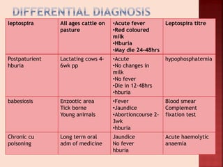 leptospira All ages cattle on
pasture
•Acute fever
•Red coloured
milk
•Hburia
•May die 24-48hrs
Leptospira titre
Postpaturient
hburia
Lactating cows 4-
6wk pp
•Acute
•No changes in
milk
•No fever
•Die in 12-48hrs
•hburia
hypophosphatemia
babesiosis Enzootic area
Tick borne
Young animals
•Fever
•Jaundice
•Abortioncourse 2-
3wk
•hburia
Blood smear
Complement
fixation test
Chronic cu
poisoning
Long term oral
adm of medicine
Jaundice
No fever
hburia
Acute haemolytic
anaemia
 