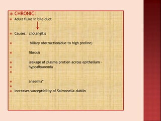  CHRONIC:
 Adult fluke in bile duct
 Causes: cholangitis
 biliary obstruction(due to high proline)
 fibrosis
 leakage of plasma protien across epithelium –
 hypoalbunemia

 anaemia*

 Increases susceptibility of Salmonella dublin
 